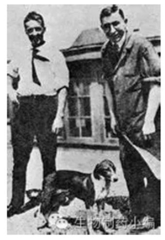 esball(中国区)官方网站