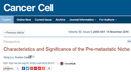 esball(中国区)官方网站