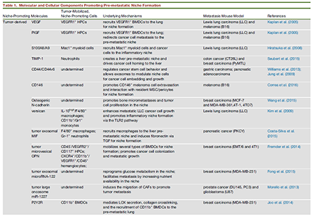 esball(中国区)官方网站