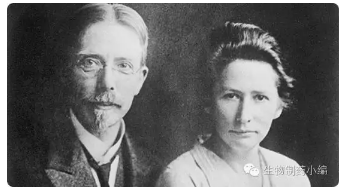 esball(中国区)官方网站