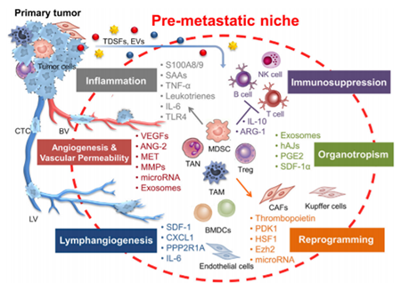 esball(中国区)官方网站