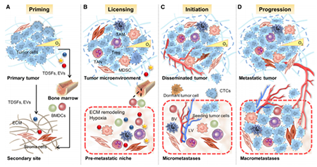 esball(中国区)官方网站