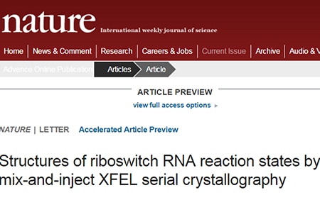 esball(中国区)官方网站