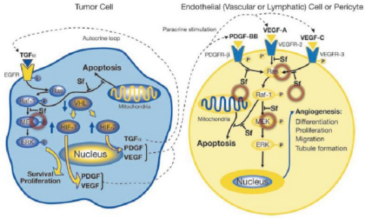 esball(中国区)官方网站