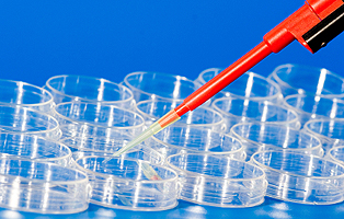 esball(中国区)官方网站