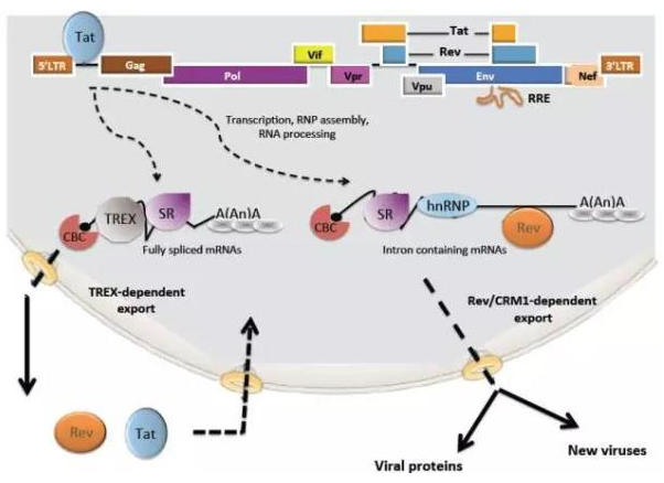 esball(中国区)官方网站
