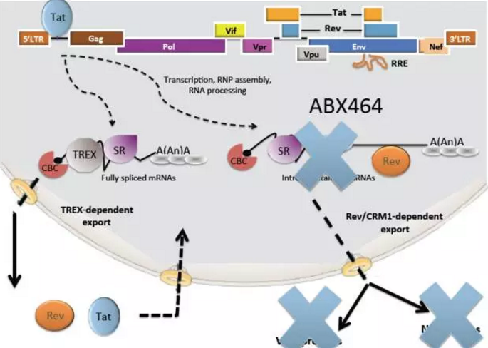 esball(中国区)官方网站