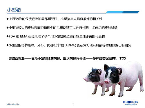 皮肤涂抹试验中，受试动物选择幼型猪更好