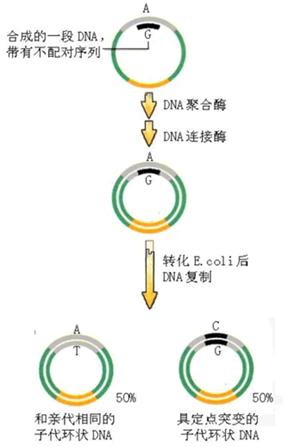 esball(中国区)官方网站