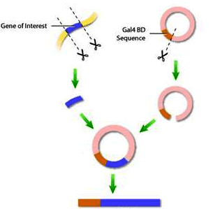 esball(中国区)官方网站