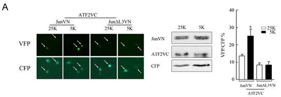 esball(中国区)官方网站