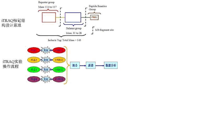 esball(中国区)官方网站