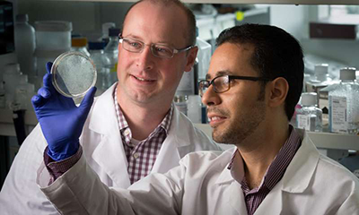 esball(中国区)官方网站