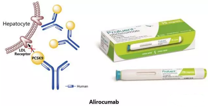 esball(中国区)官方网站