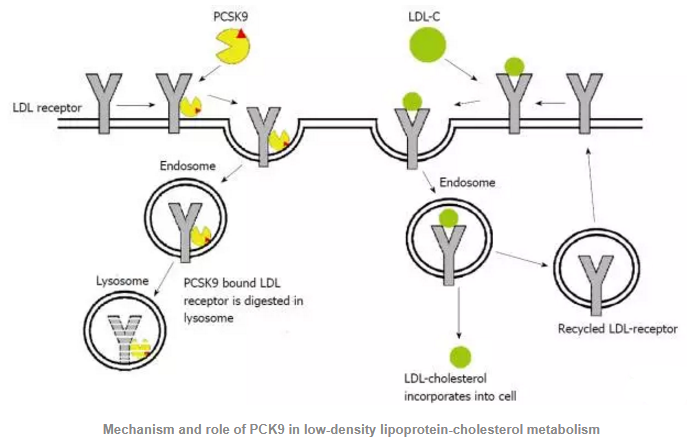 esball(中国区)官方网站