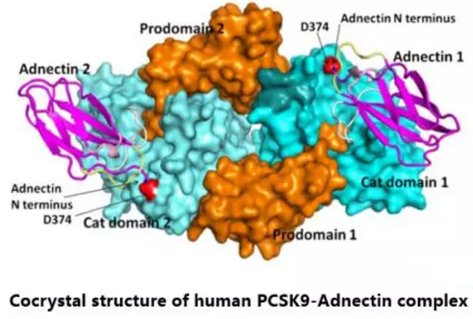 esball(中国区)官方网站