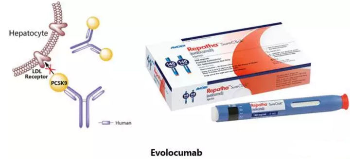 esball(中国区)官方网站