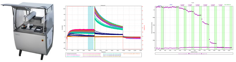 esball(中国区)官方网站
