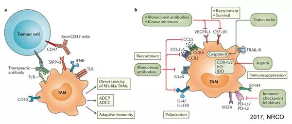 esball(中国区)官方网站