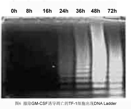 esball(中国区)官方网站
