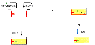 esball(中国区)官方网站
