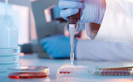 新突破-癌症医治的免疫靶点