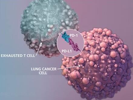 esball(中国区)官方网站