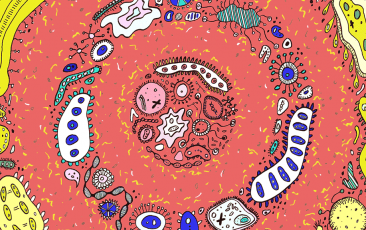 esball(中国区)官方网站