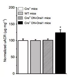 esball(中国区)官方网站