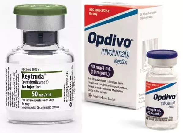 esball(中国区)官方网站