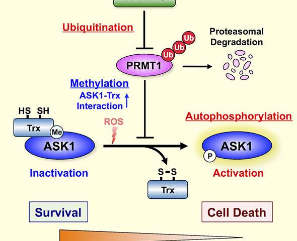 esball(中国区)官方网站