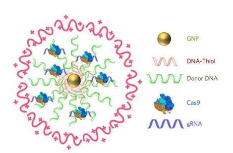 esball(中国区)官方网站