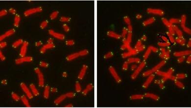 esball(中国区)官方网站