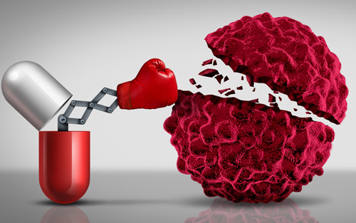 esball(中国区)官方网站