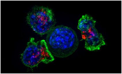 esball(中国区)官方网站