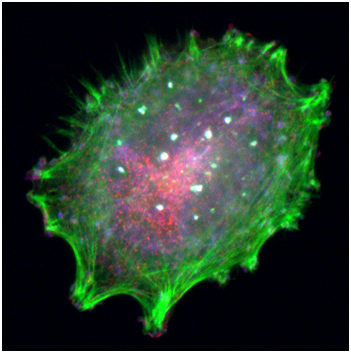 esball(中国区)官方网站