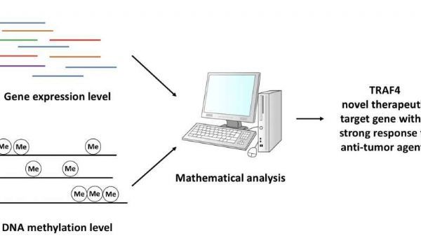 esball(中国区)官方网站