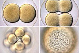 esball(中国区)官方网站