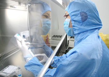 2017年1类新药审批加快率！85个获批临床，1个获批出产