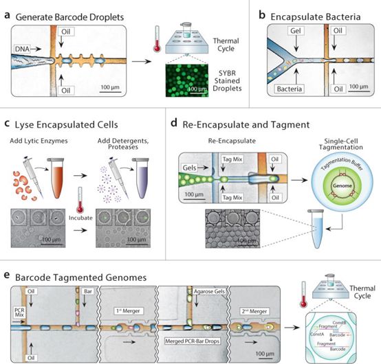 esball(中国区)官方网站