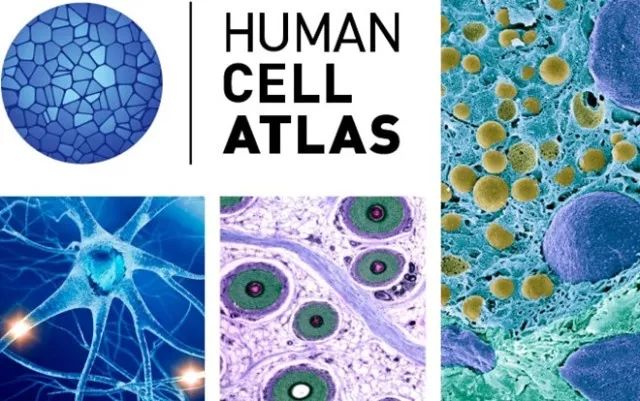 esball(中国区)官方网站