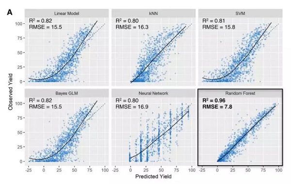 esball(中国区)官方网站