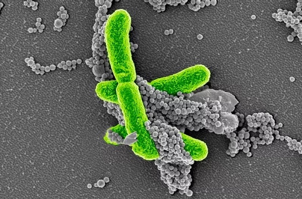 esball(中国区)官方网站