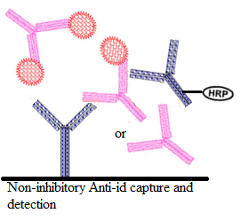 esball(中国区)官方网站