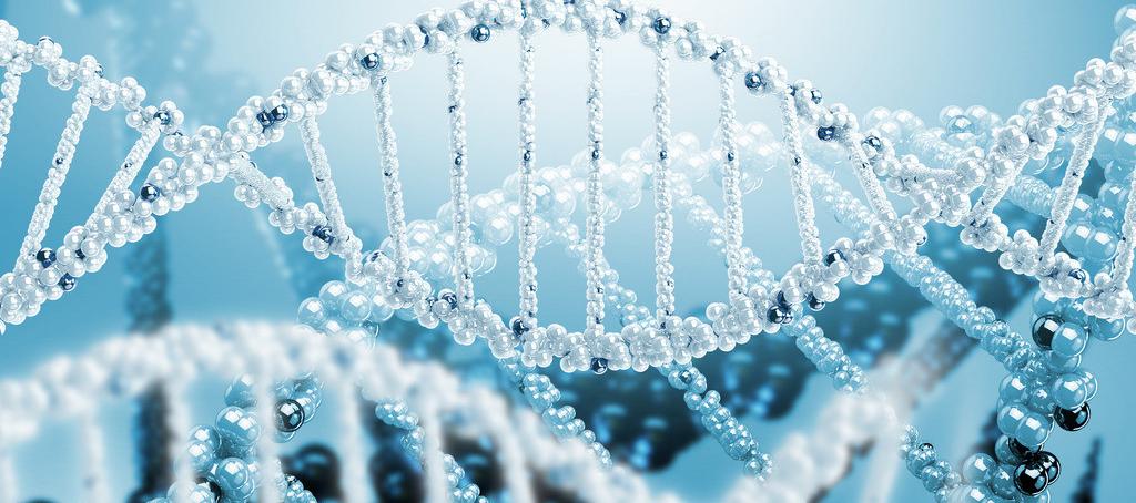 浅谈esball抗体药物PK分析步骤学设计的思考重点