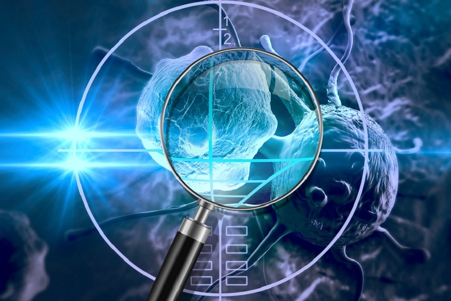 esball(中国区)官方网站