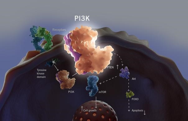 esball(中国区)官方网站