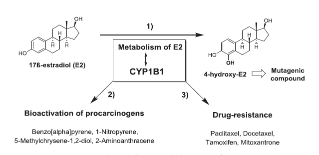 esball(中国区)官方网站