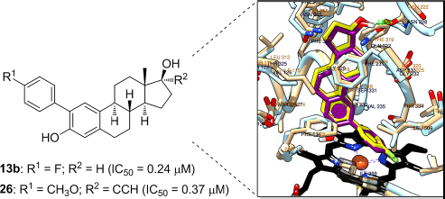 esball(中国区)官方网站