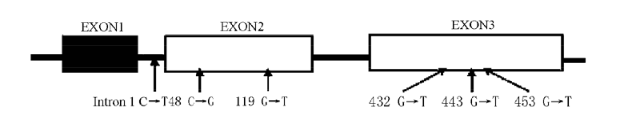 esball(中国区)官方网站